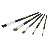 Pretul Paint Brush Setx5.